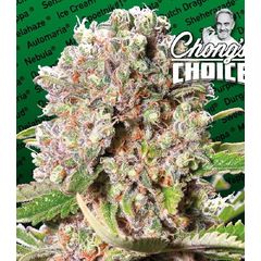 Mendocino Skunk, Фасовка: 1