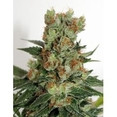 Fuel Og, Фасовка: 3