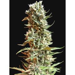 Strawberry Banana, Фасовка: 10