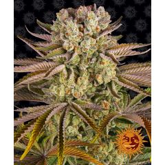 Pineapple Express, Фасовка: 5