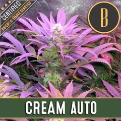 Auto Cream, Фасовка: 3