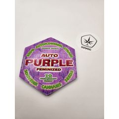 AutoPurple Fem BroSeeds, Фасовка: 12