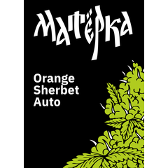 Orange Sherbet Auto, Фасовка: 3