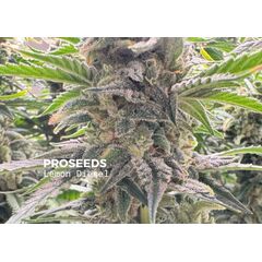 Fast Lemon Diesel, Фасовка: 6