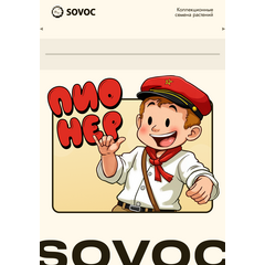 Пионер Экспресс, Фасовка: 3