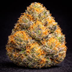 Auto Mango Runtz, Фасовка: 6
