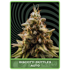 Biscotti Zkittles Auto, Фасовка: 1