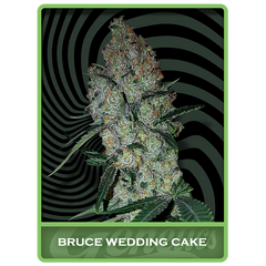 Bruce Wedding Cake, Фасовка: 1