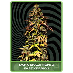Dark Space Runtz Fast, Фасовка: 10