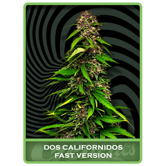 Dos Californidos Fast, Фасовка: 10