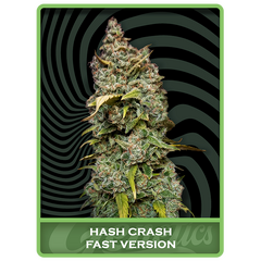 Hash Crash Fast, Фасовка: 1