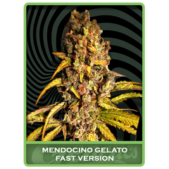 Mendocino Gelato Fast, Фасовка: 1