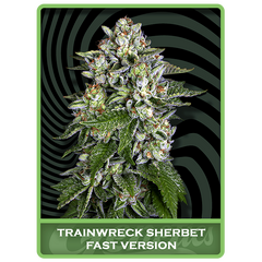 Trainwreck Sherbet Fast, Фасовка: 1